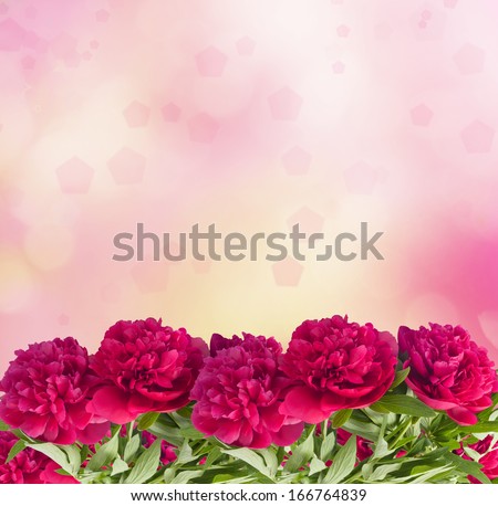 Beautiful bouquet of pink peonies on the abstract background with bokeh effect
