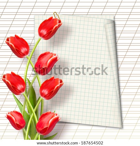 Bouquet of beautiful red tulips with greeting on paper white background