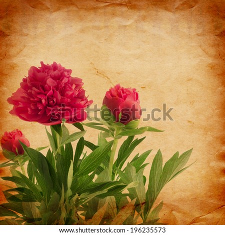 Beautiful bouquet of pink peonies on abstract vintage paper background