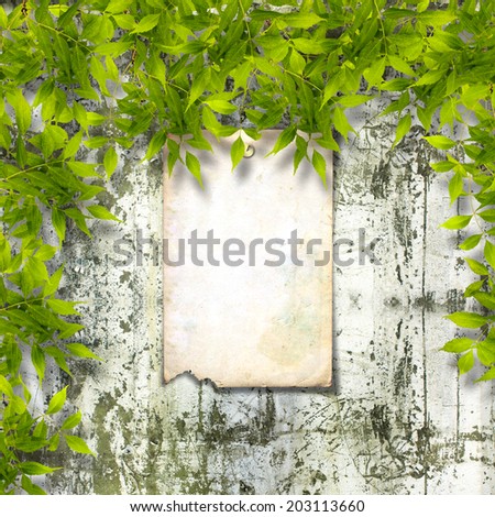 Old paper ad on ruined stone wall with a bright green foliage