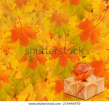Autumn maple branch with gift box on the abstract background