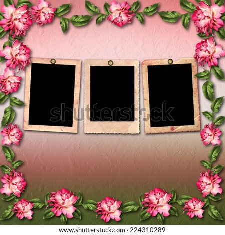 Beautiful painted rose with frames for congratulations or invitation on abstract background