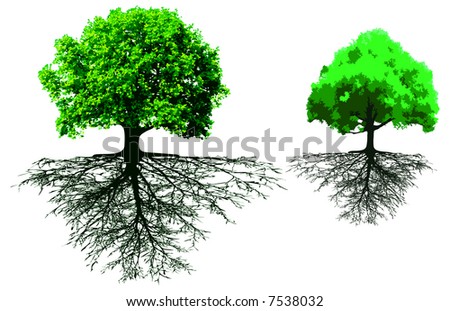 Trees With Roots Stock Vector Illustration 7538032 : Shutterstock