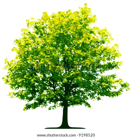 Free Stock on Tree  Vector    9198520   Shutterstock