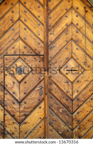 Old oak door close-up