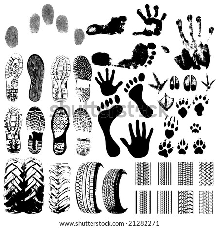 Cat Footprint Tattoo Designs