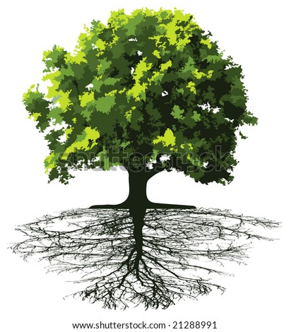 clip art tree with roots. vector : Trees with roots