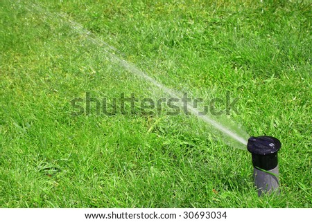 Close up of lawn sprinkler with copy space