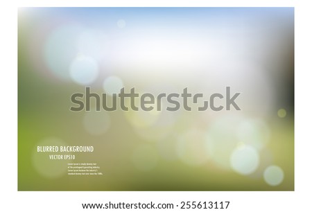 vector illustration of soft colored abstract blurred light background layout design , can be use for background concept or festival background.