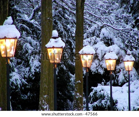 winter lights in a park in germany