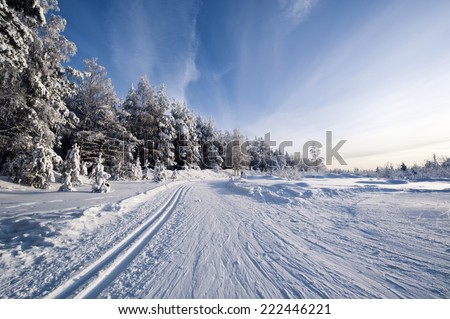 Ski track winds along a forest edge. Classic cross country skiing tracks as well as skate skiing tracks are visible