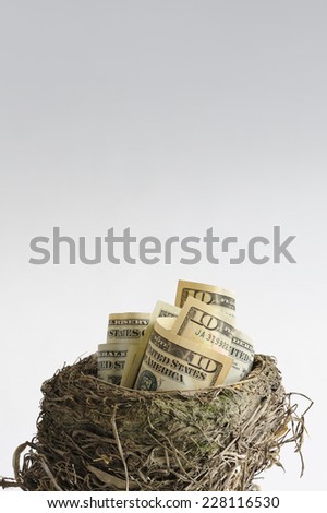 Birds nest with low denomination currency suggesting the start of a nest egg. Saving for something special such as retirement. Ample copy space above. Graduated background.