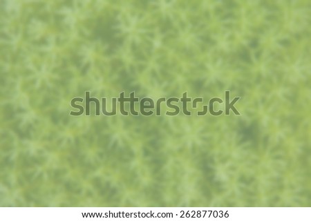 Blurred background of green star shaped leaves. Designed to work with text overlays including the text colour white. Artistic intent with filters and desaturation.