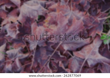 Background of fallen autumn maple leaves. Designed to work with most text colors including white. Artistic intent with filters and desaturation.