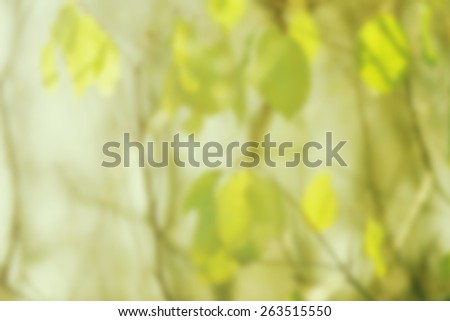 Blurred background of backlit bright green leaves. Designed to work with text overlays including the text colour white. Artistic intent with filters and desaturation.