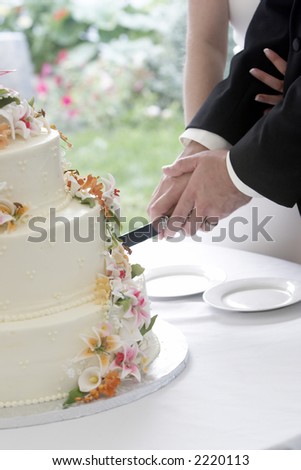 A wonderful wedding cake with the bride and groom cutting the cake with a long knife. The flowers look real, but are really edible sugar flowers!
