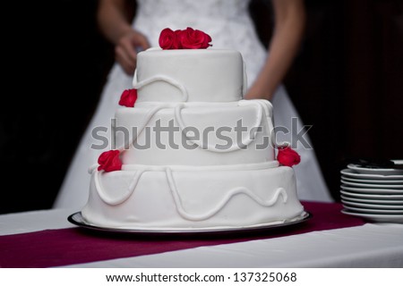 Wedding cake with the bride behind