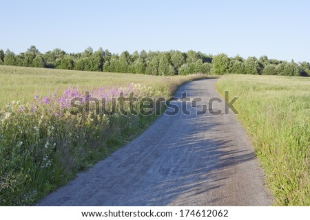 Dirt road, gravel road pass through farmland. Fire-weed to the left.