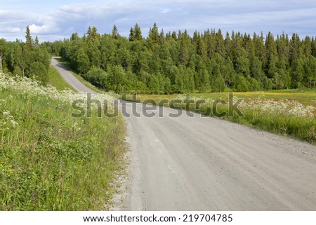 A gravel road through the Nordic countryside. Meadows, flowers and trees.