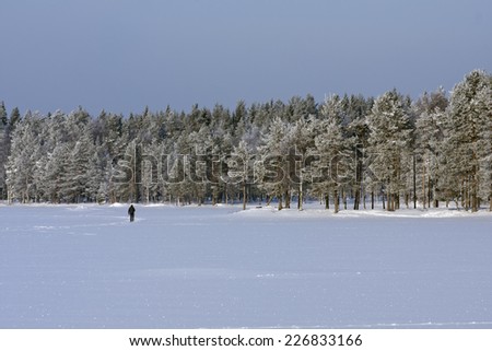 UMEA, SWEDEN ON FEBRUARY 19. Unidentified Cross-country skier runs over a lake on February 19, 2011 in Umea, Sweden. Forest in the background. Sunny winter day.