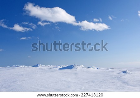 Ice and snow on a sunny sea, ocean. Continuous, unbroken winter white sea in bright sunshine. White clouds in the blue sky.