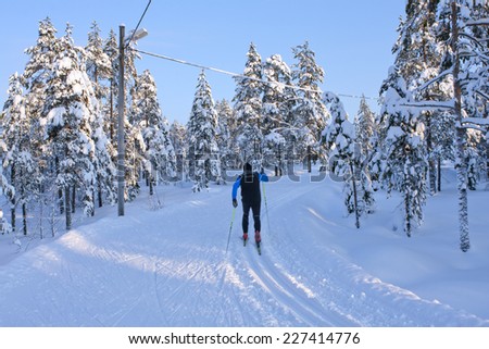 UMEA, SWEDEN ON JANUARY 24. Unidentified cross-country skier runs up a hill on January 24, 2012 in Umea, Sweden. Cross-country and skate trails in newly fallen white and cold snow.