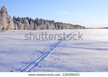 A cross-country track passes over a lake in sunshine. Forest and trees in snow and frost in the background.