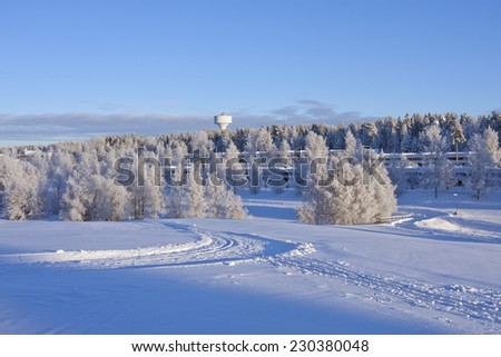 Grove of trees on a snowy meadow. Cross-country track this side a path which leads to an urban area in the background. Frost and rime in the trees, white clean and proper environment.