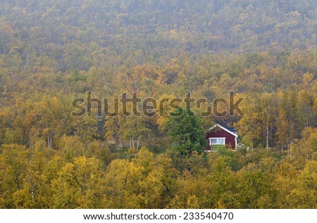 Red and white cabin in the mountain forest, Betula pubescens. Colorful autumn, fall trees and leaves in the surrounding.