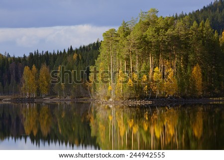 Lake-shore in autumn colors. Colorful trees, forest and a grove of trees on the shore.