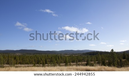 Vast areas of forests in rural area. Trees, spruce, pine and small lakes and sporadic bog, morass, mire, fen, wet areas in sight.