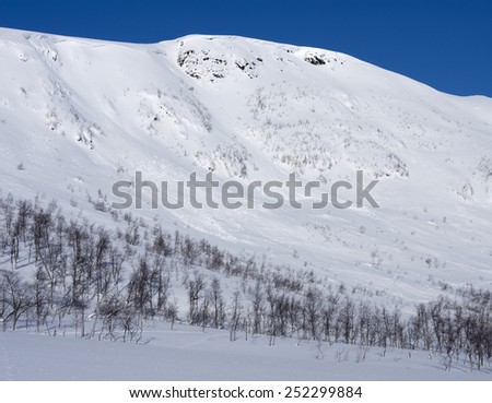 Sunny day in the Scandinavian mountains. Clean white snow, mountain birch forest and covered slopes.