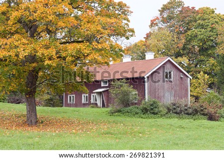 A red wooden cabin beyond a huge tree. Colorful trees and lawn.