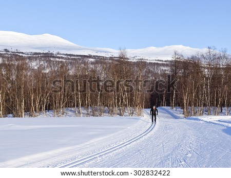 LAPLAND, SWEDEN ON MARCH 16. Unidentified cross-country skier runs along a track on March 16, 2015 in Lapland, Sweden. Bright sunny afternoon, well prepared tracks.