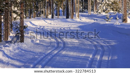 Cross-country tracks in excellent conditions. Newly fallen snow, forest, trees both sides.
