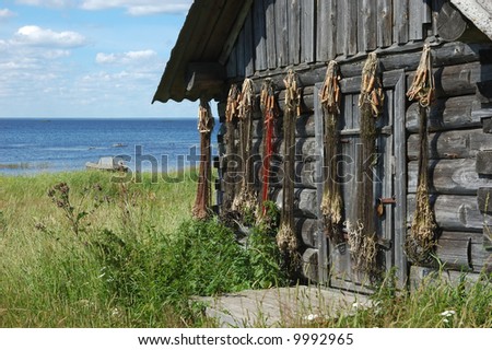 Fishing net on the old wood-shed wall near big lake in summer