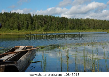 Little forest lake in summer, old dug-out, reflections in water
