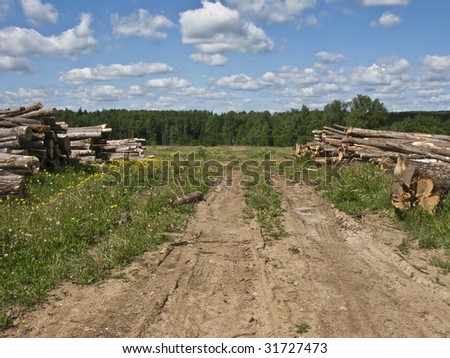 Country earth road with log piles at the side