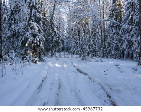 Winter earth rut under snow in forest, Russia
