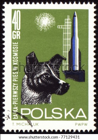 POLAND - CIRCA 1963: A stamp printed in Poland shows first dog Laika in space, series, circa 1963