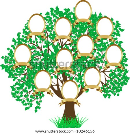 stock vector Genealogical tree Green tree Vector illustration