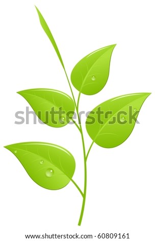 Vector Tea Leaf