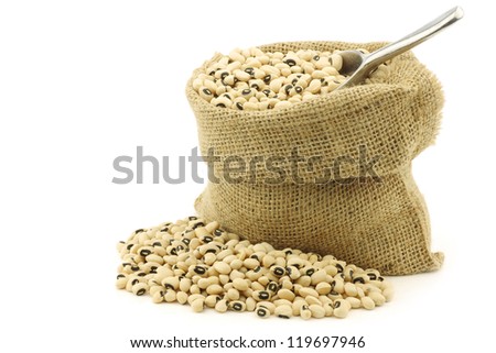 dried black eyed peas in a burlap bag with an aluminum scoop on a white background
