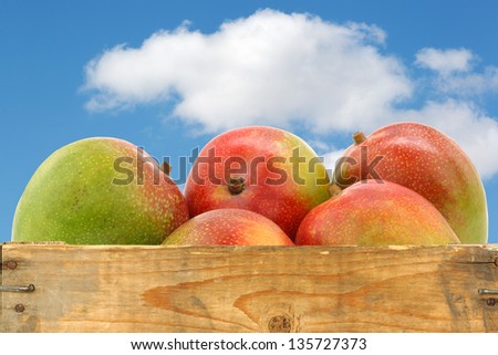 fresh mango fruits in a wooden crate against a blue sky with clouds