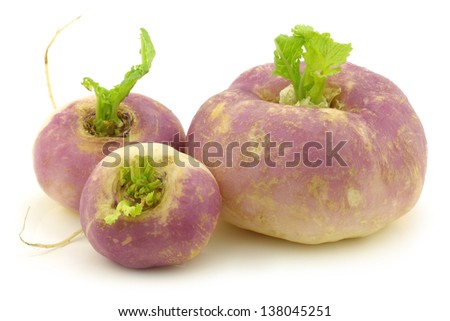 freshly harvested spring turnips (Brassica rapa) on a white background
