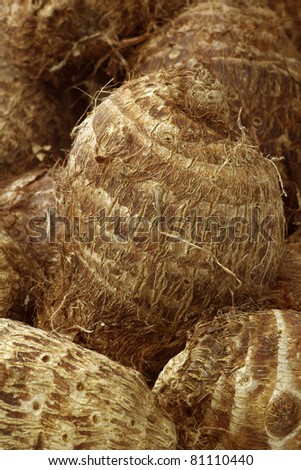 background of fresh taro root(colocasia)