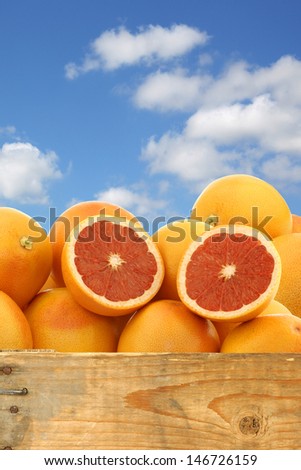 fresh red grapefruits and a cut one in a wooden crate against a blue sky with clouds