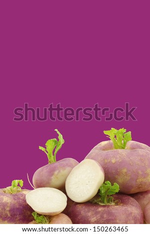 freshly harvested spring turnip (Brassica rapa) and a cut one on a purple background