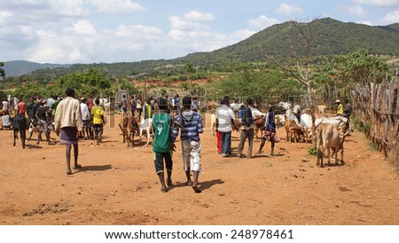 KEY AFER, ETHIOPIA - NOVEMBER 20, 2014: People on the cattle market in Key Afer on November 20, 2014 in Key Afer, Ethiopia, Africa.