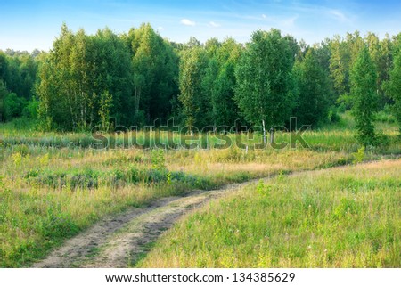 Summer landscape with forest and road